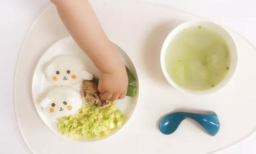 宝宝食物怎么做才有营养呢