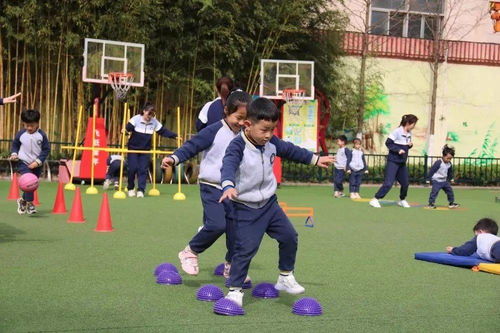 幼儿体育专项启蒙训练