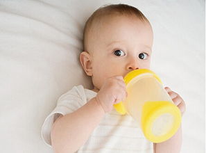 婴儿的喂养过程应注意什么?